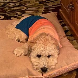 Meet your Posher, Rochelle